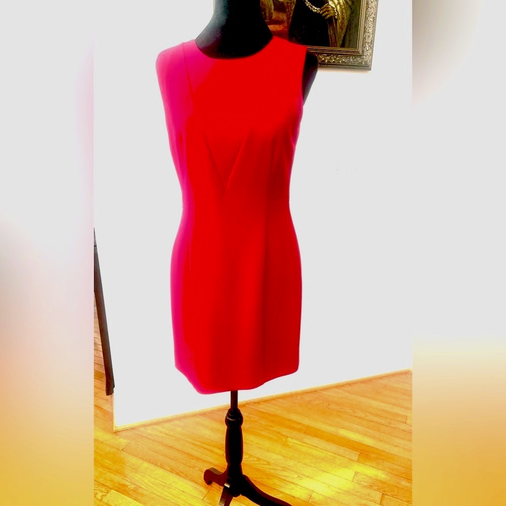 Hugo Boss Red Mini Dress size 4